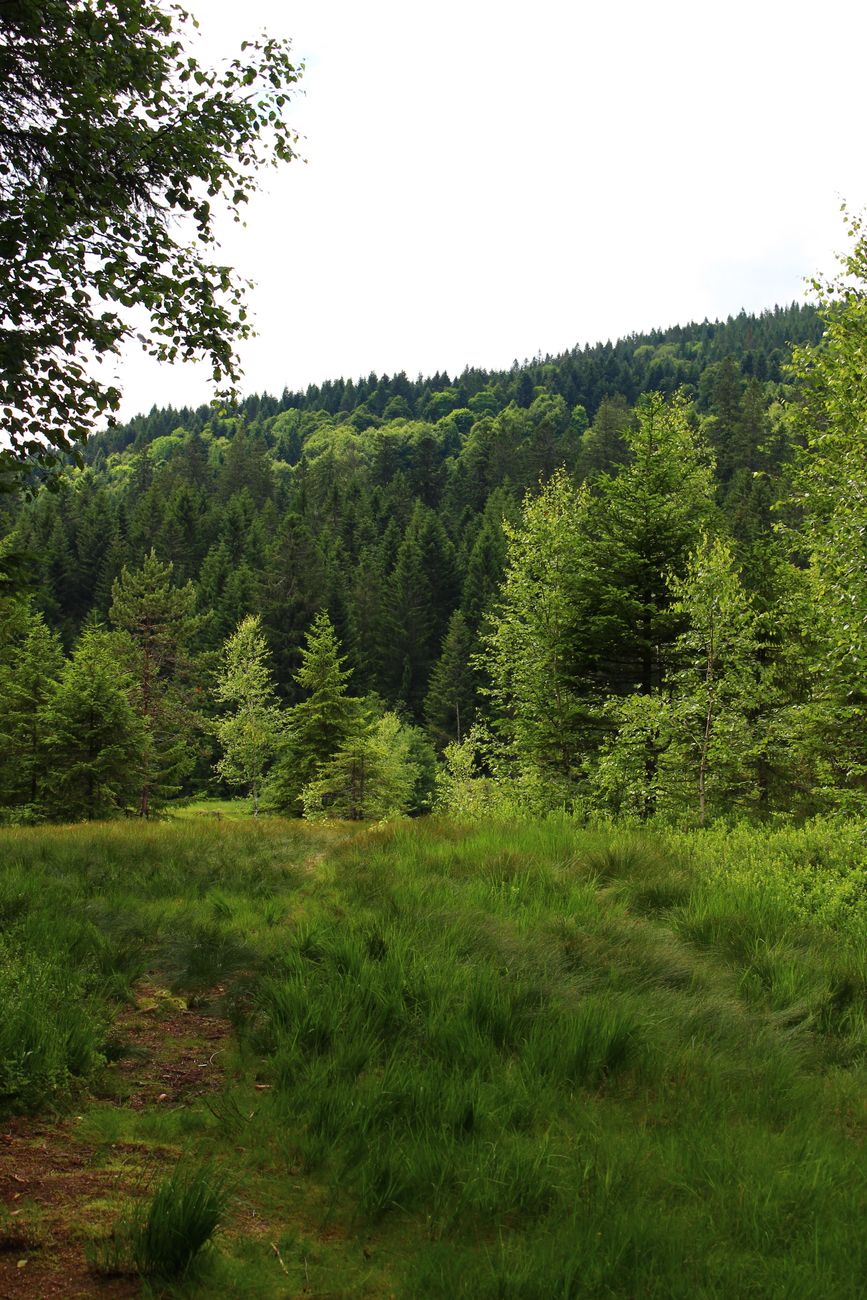 Trail : du débutant aux ultras