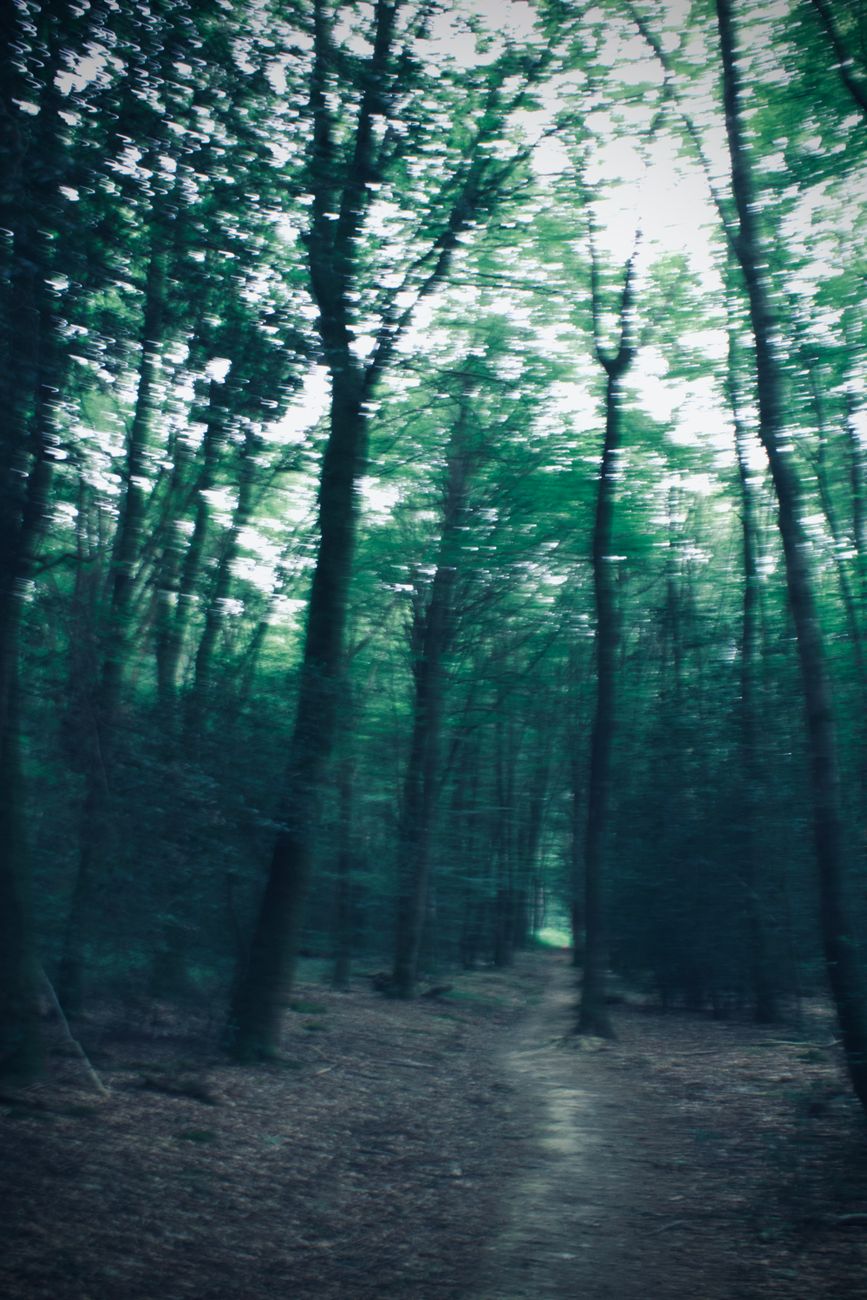 Entraînement running : plans, séances et méthodes