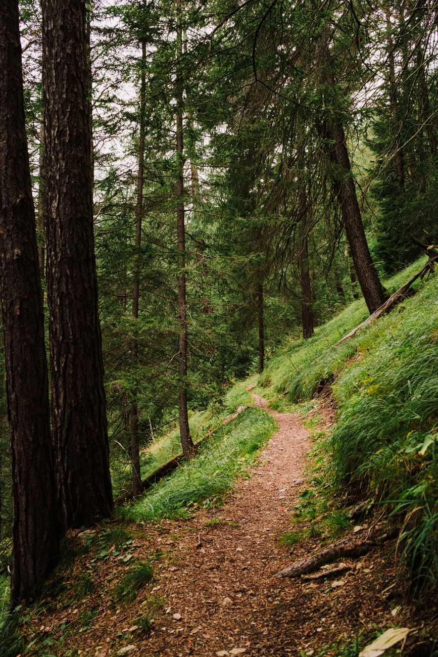 Sentier cathare