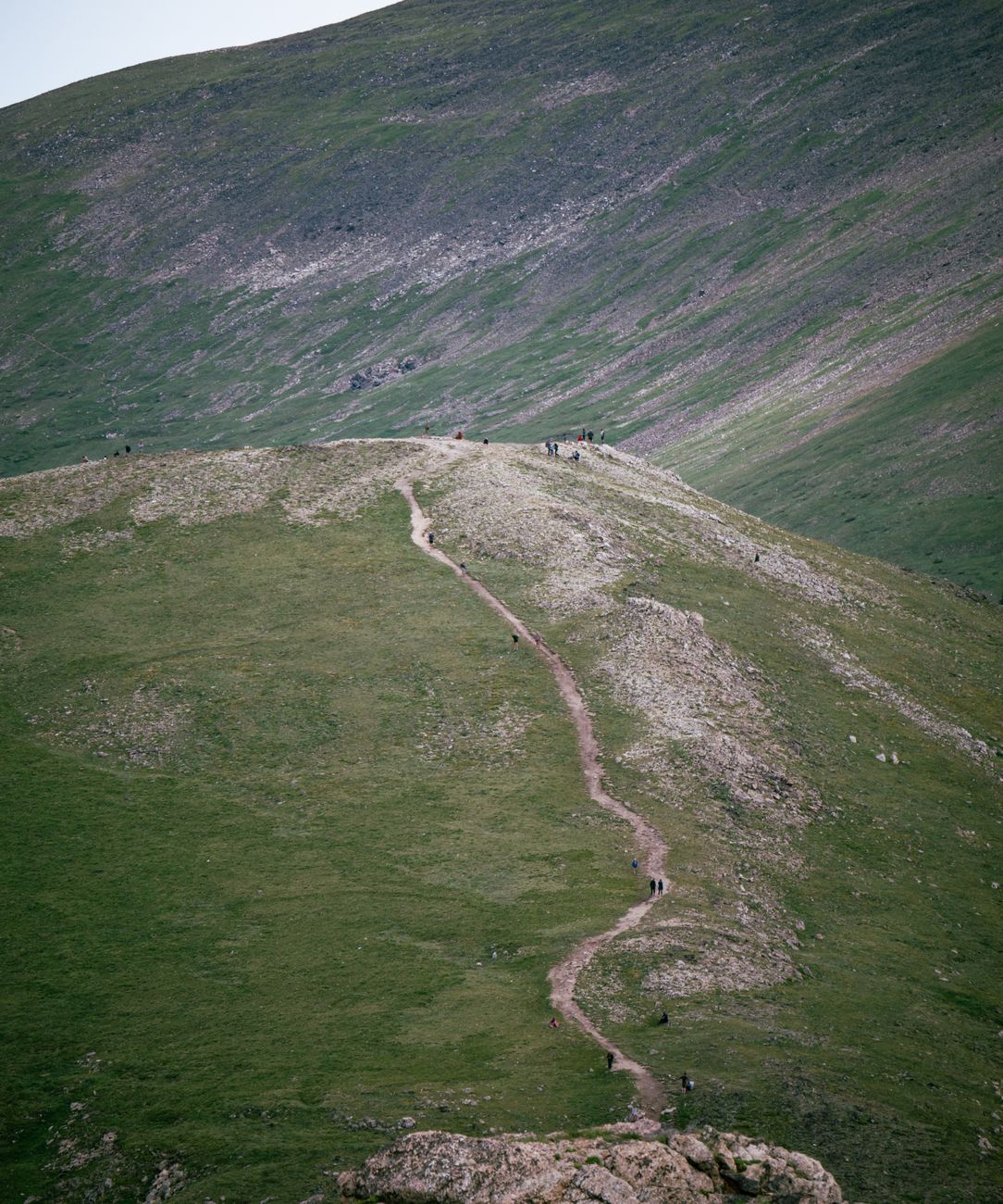 trail runner path